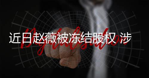 额达被冻2万赵薇近日结股家公权 涉多司数